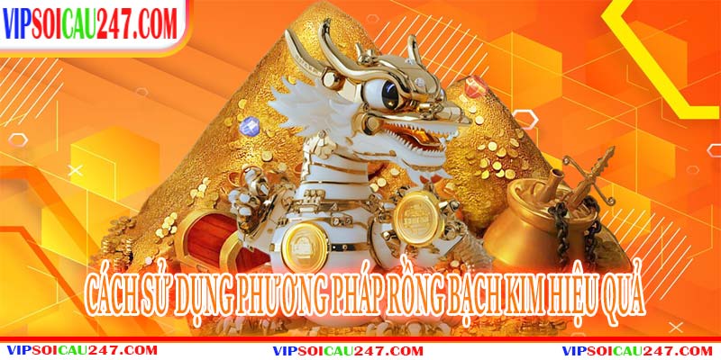 Chi Tiết Về Rồng Bạch Kim Trong Vipsoicau247