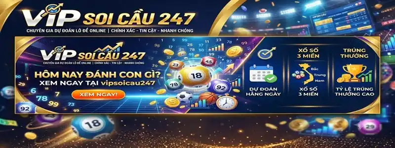 Vip Soi Cầu 247
