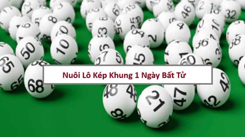 lo-kep-khung-1-ngay