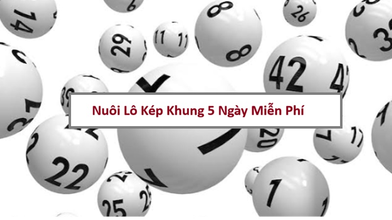 lo-kep-khung-5-ngay